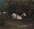 Gustave Courbet (1819 - 1877) Durchgehendes Pferd, 1861